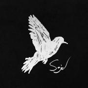 噬己翼的个人资料头像