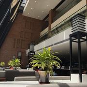 新仔的个人资料头像