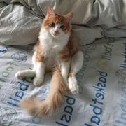 5452的个人资料头像