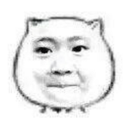 y8n的个人资料头像