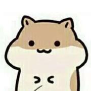 九菜蛋塔的个人资料头像