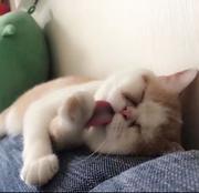 王大雄_名字起的长少费的个人资料头像