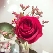 oneAlone的个人资料头像