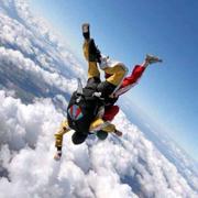 飞天可乐罐的个人资料头像