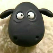 wpalle的个人资料头像