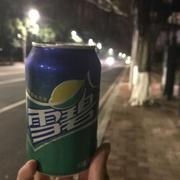 游览车的个人资料头像