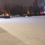 荡来荡去俱乐部的个人资料头像