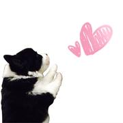 Jimbaby的个人资料头像