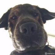 尘世村夫的个人资料头像