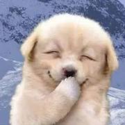 Jce的个人资料头像