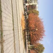 cauchy18490的个人资料头像