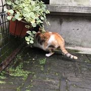 jiaxuyang的个人资料头像