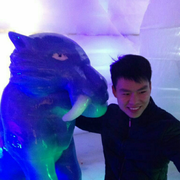 WeiPong的个人资料头像