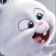 无谁的个人资料头像