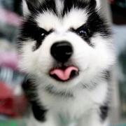 EaStander的个人资料头像