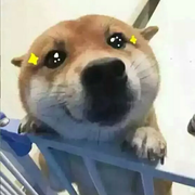 夜一先森的个人资料头像