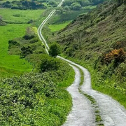 anan2016的个人资料头像