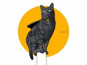 vermouth_xu的个人资料头像