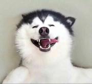 rhadamanthus的个人资料头像