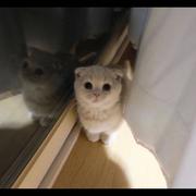 试着诉说的个人资料头像