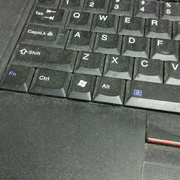 本拉茶的个人资料头像