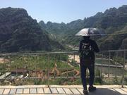 liu_tz的个人资料头像