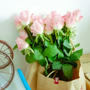 静思雅娴的个人资料头像