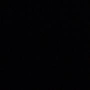 C草的个人资料头像