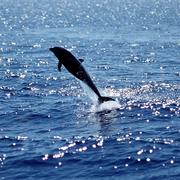 kun_007的个人资料头像