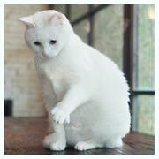 Ryan同志16353的个人资料头像