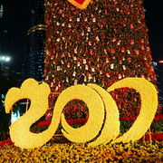 转身离开的个人资料头像