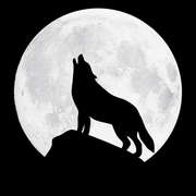 王建凯的个人资料头像