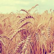 Mrma15004的个人资料头像