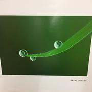 871hjhlrmlhhsl39b6tjmakbk的个人资料头像