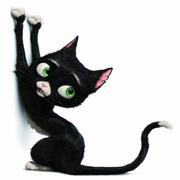 DEO的个人资料头像