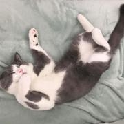 Smeagol的个人资料头像