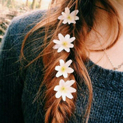 特别的人爱学习的个人资料头像