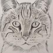 michael_zhr的个人资料头像