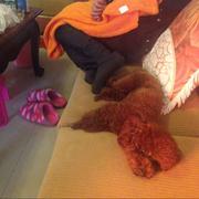 阿星君18295的个人资料头像