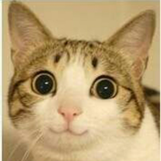 酷乐的个人资料头像