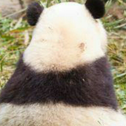 热牛奶的个人资料头像