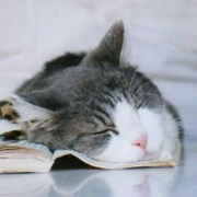 白涅的个人资料头像