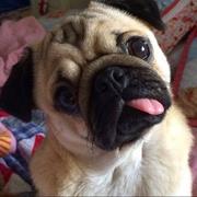 IX15783的个人资料头像