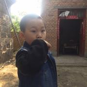 Alex胖叔的个人资料头像