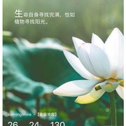 BlessingSerenity的个人资料头像