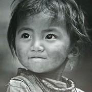 WowSto的个人资料头像