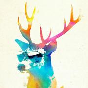 1nnovator的个人资料头像