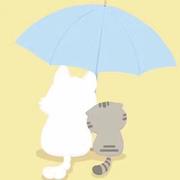 风起青苹之末的个人资料头像