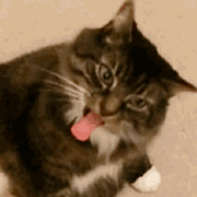 黑亚当的个人资料头像