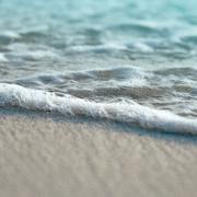 fayne10972的个人资料头像